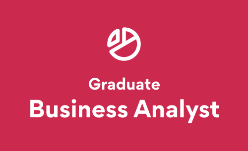 Graduate Business Analyst Graduate Business Analyst image